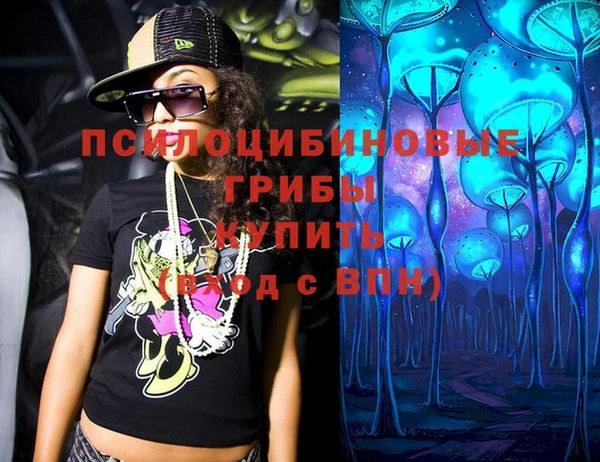 сатива Липки